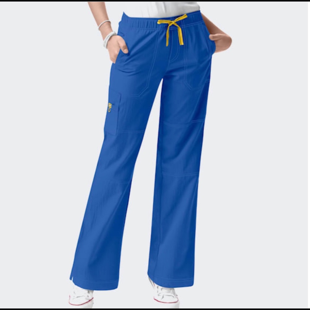 Wonderwink Royal Blue scrub pants. Size Large Petite. Good Condition